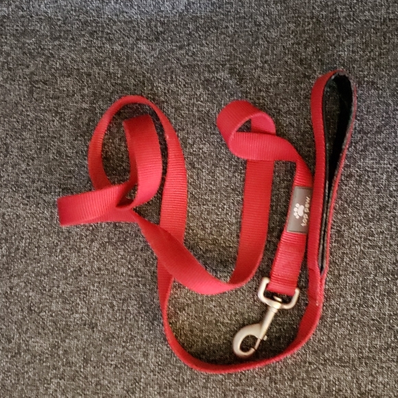 Top Paw 🐾 ❤ Harness and Leash - Picture 4 of 8